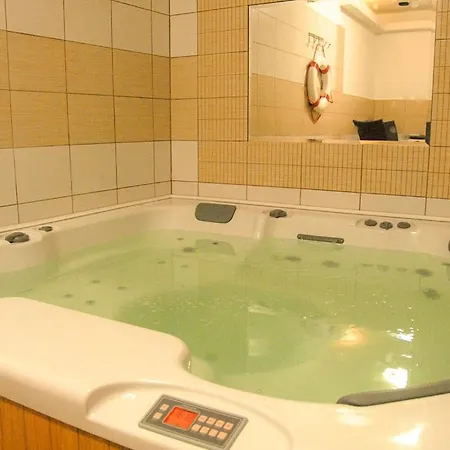 Apartmany Olsany Гостевой дом Olsany (Vyskov)