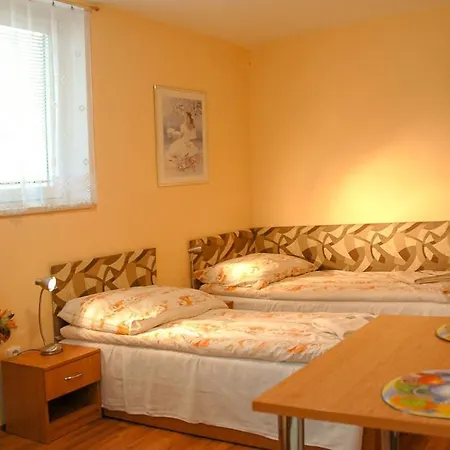 Apartmany Olsany Гостевой дом Olsany (Vyskov)