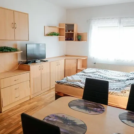 Apartmany Olsany Гостевой дом