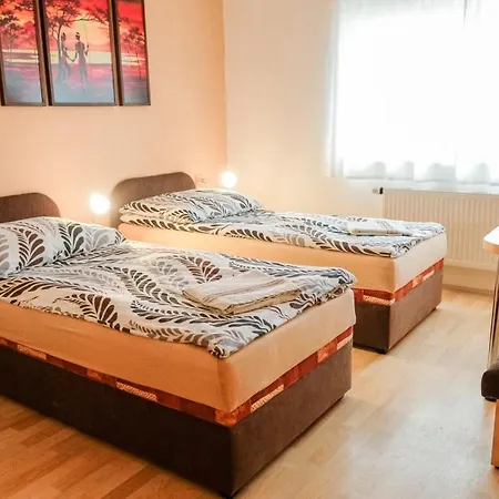 Apartmany Olsany Гостевой дом *