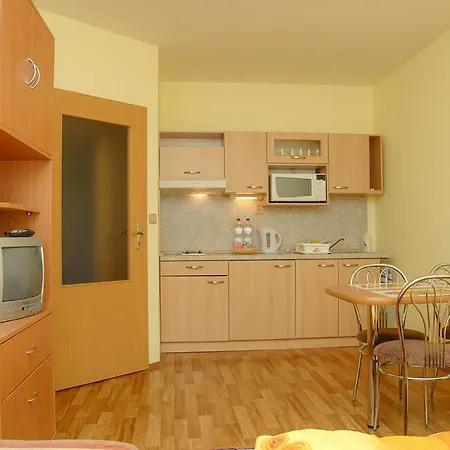 Гостевой дом Apartmany Olsany Olsany (Vyskov)