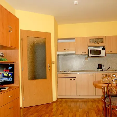 Apartmany Olsany Гостевой дом *