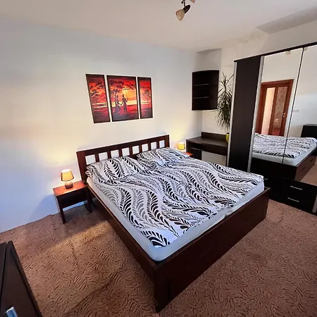 Apartmany Olsany Гостевой дом *